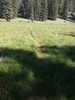 photo thumbnail #12