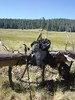 photo thumbnail #13