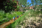 photo thumbnail #2