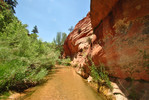 photo thumbnail #5
