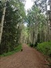 photo thumbnail #7