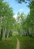 photo thumbnail #12