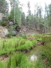 photo thumbnail #5