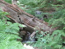 photo thumbnail #8