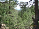 photo thumbnail #10