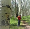photo thumbnail #3