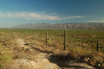 photo thumbnail #1