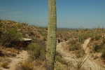 photo thumbnail #4