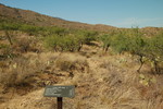 photo thumbnail #10