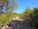 photo thumbnail #7