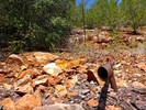 photo thumbnail #10