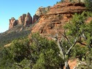 photo thumbnail #2