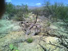 photo thumbnail #4