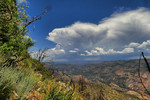 photo thumbnail #6