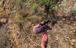 photo thumbnail #6