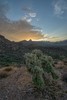 photo thumbnail #7