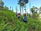 photo thumbnail #6