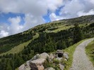 photo thumbnail #4