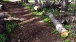 photo thumbnail #15