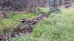 photo thumbnail #3