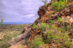 photo thumbnail #8