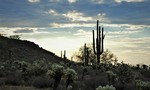 photo thumbnail #3