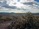 photo thumbnail #5