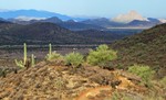 photo thumbnail #7