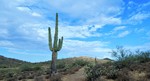 photo thumbnail #10