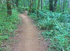 photo thumbnail #1