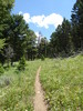 photo thumbnail #6