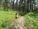 photo thumbnail #12