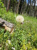 photo thumbnail #14
