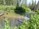 photo thumbnail #11