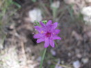 photo thumbnail #13