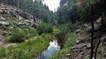 photo thumbnail #10