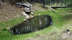photo thumbnail #11