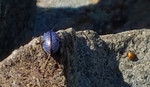 photo thumbnail #9