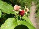 photo thumbnail #6