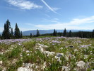 photo thumbnail #11