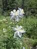photo thumbnail #14
