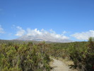 photo thumbnail #9