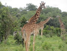 photo thumbnail #12