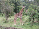 photo thumbnail #15