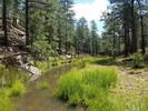 photo thumbnail #5