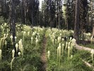 photo thumbnail #3