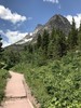 photo thumbnail #1