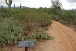 photo thumbnail #4