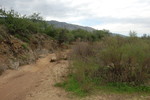 photo thumbnail #10