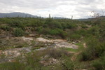 photo thumbnail #13